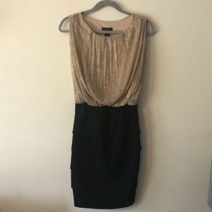 Enfocus Studio Fitted Dress